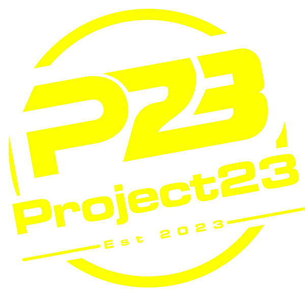 Project23 Performance